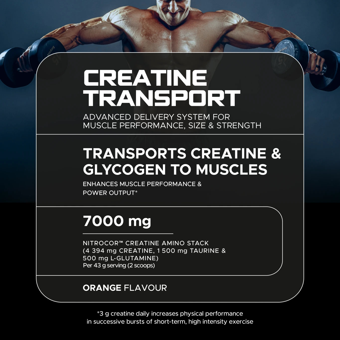 Creatine Transport